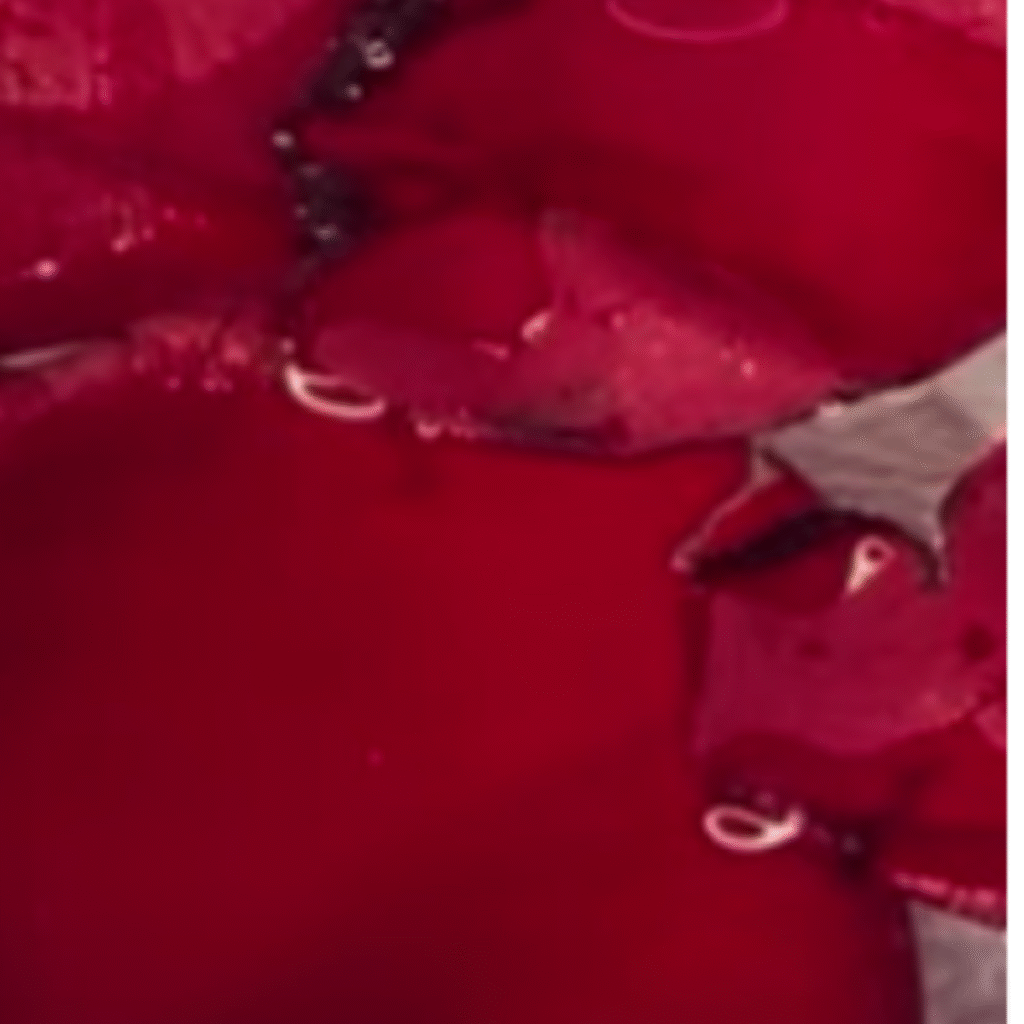 bol con agua y rosas