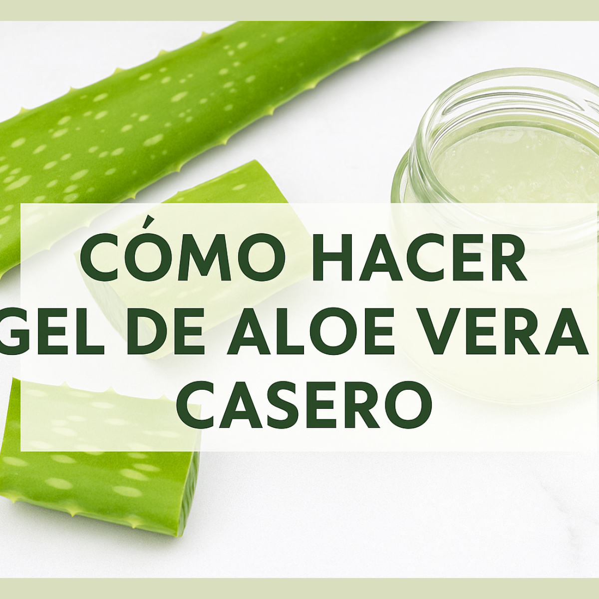 Gel de aloe vera casero: el secreto natural que transformó mi piel.