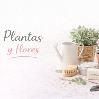 plantas y flores plantas y flores